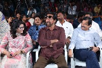 Raajadhani Files Movie Press Meet Photos